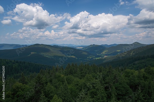 Fototapeta Naklejka Na Ścianę i Meble -  Aerial perspective of lush summer woods and hills captured by drone over mountainous terrain.