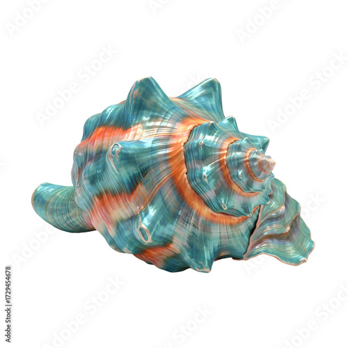 Exotic tropical seashell isolated on white background
