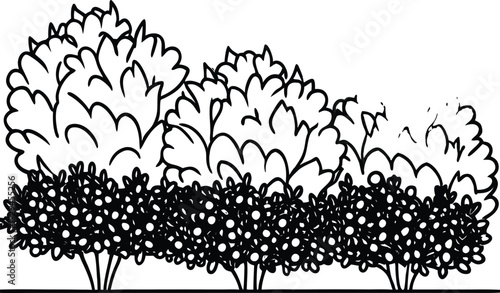 Minimalist vector illustration of shrubs and bushes shown in a side elevation view