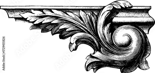 Intricate baroque border design for decorative projects and art