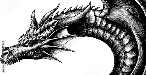 Majestic dragon curled in circle - detailed engraved artwork for posters and design