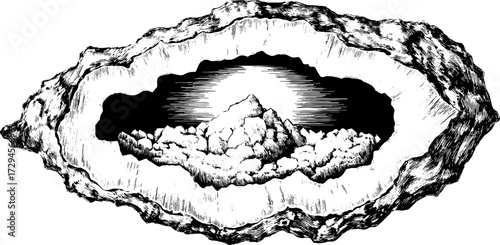 Vintage geode cross section engraving for science and natural history design