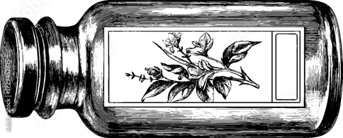 Vintage engraved illustration of apothecary jar with botanical design for herbal medicine label