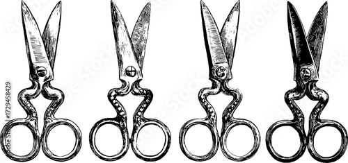 Vintage engraved tailor scissors illustration with ornate antique craftsmanship design.
