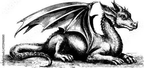 Intricate vintage dragon illustration set for fantasy creations and retro designs