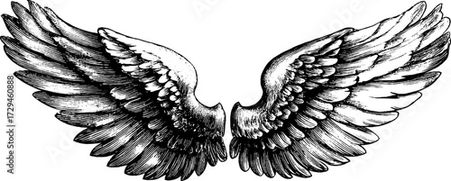 Engraved illustration of firebird wings with majestic spread design for decor