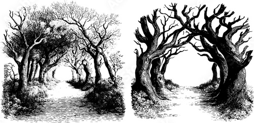 Vintage forest path engraving set featuring tree silhouettes for design and decor