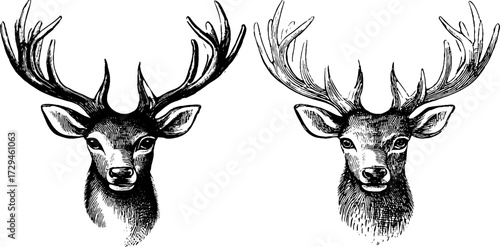Vintage engraved illustrations of forest spirits - deer antler silhouettes for nature art and design