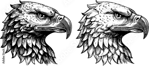 Vintage griffin head emblem set for design and decoration