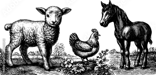 Spring farm life: engraved illustrations of lamb, chicken, and horse for vintage design