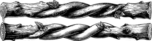 Engraved vintage illustration of twisted wooden staffs for retro design and craft projects