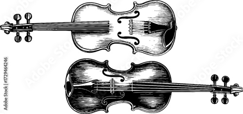 Elegant vintage engraving of violins side view for music-themed design projects