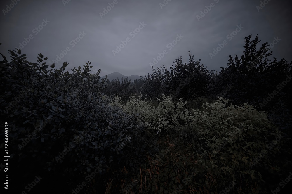 Fototapeta premium Twilight Silhouette of Hazelnut Bush Against a Grey Sky