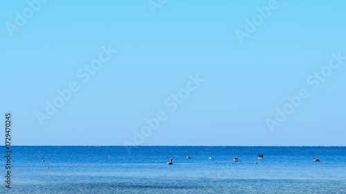 Cormorants resting on net floats near the shoreline, a seascape on a bright sunny day, real-time footage of the ecology and life of marine animals and birds