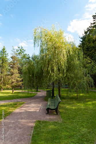 bench in the park