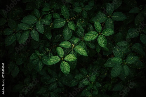Dark and moody green foliag...