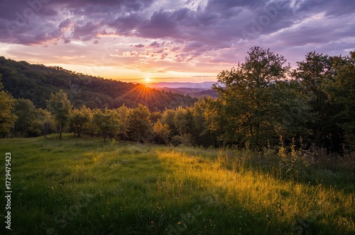 Sunset Glow Over Woodland a...