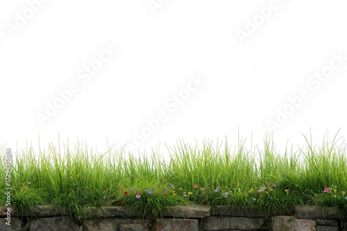 Stone wall with grass on a ...
