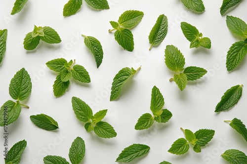 Green mint leaves isolated ...