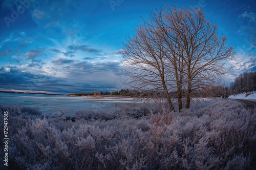 Icy plants lining the edge ...
