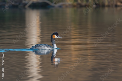 Serene lake scene with a gr...