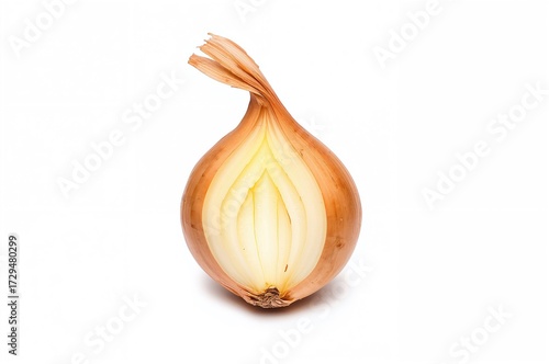 Isolated fresh onion bulbs ...