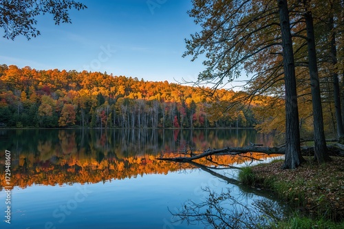 Autumn Reflections on a Woo...