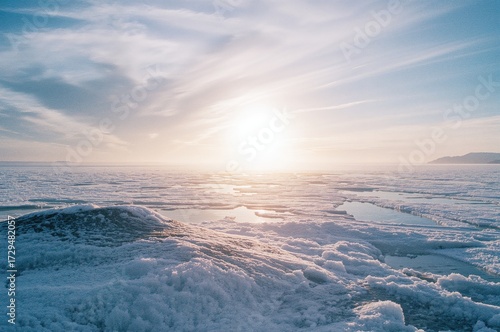 Icy winter scene with frost...