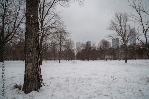A chilly winter afternoon i...