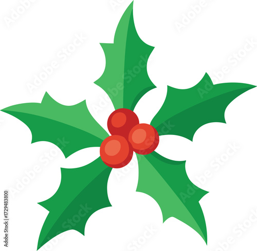 Festive Holly Berry Illustration with Green Leaves for Christmas Holiday Season