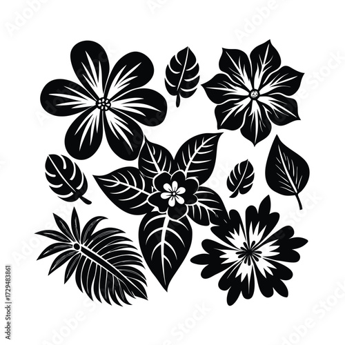 Dark mysterious black abstract texture background with subtle gradient effect isolated on transparent background