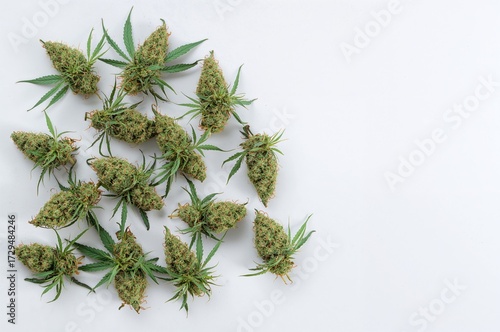 Fresh therapeutic cannabis ...