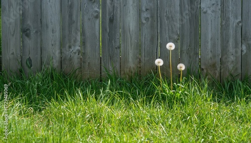 Lush green turf surrounding...