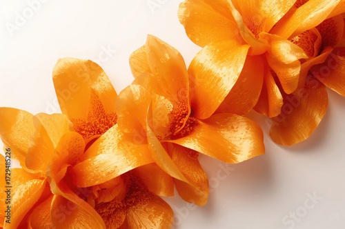 White background adorned wi...
