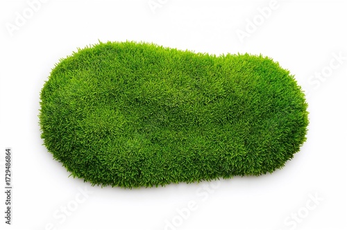 Top view of isolated green ...