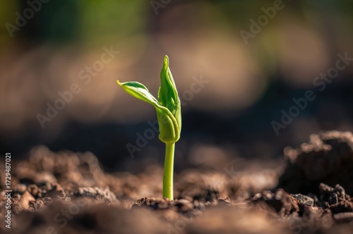Macro shot of a young green...
