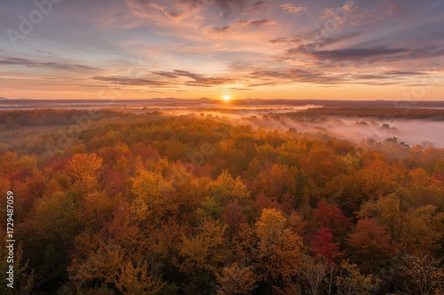 Radiant Morning Glow Illumi...