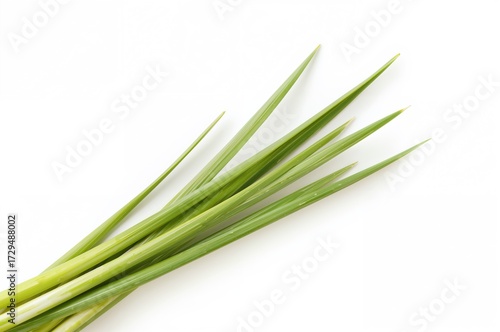Fresh stalks of lemongrass ...
