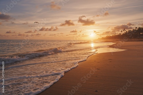 Sunset over shimmering ocea...