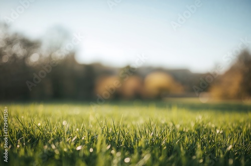 Lush grassy meadow with blu...
