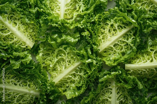 Top perspective of freshly ...