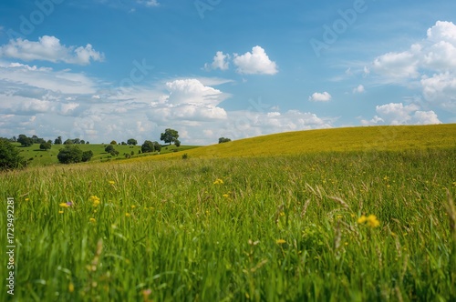 Green field beneath a brigh...