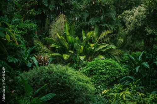 Lush Tropical Foliage Envel...