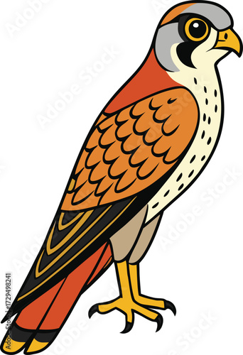 Cartoon american kestrel bird of prey with orange and gray plumage
