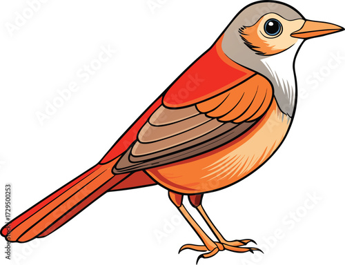 Cartoon illustration of a small bird with orange and red plumage