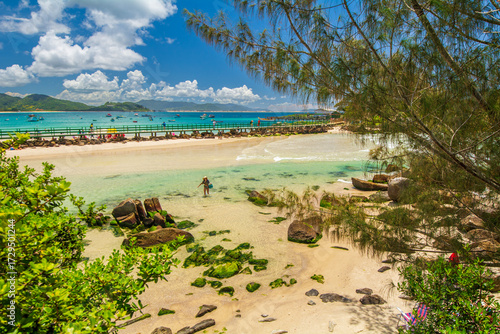 Tropical Paradise at Armação Beach in Florianópolis, Santa Catarina Brazil