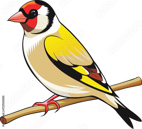 Vibrant european goldfinch perched on a twig