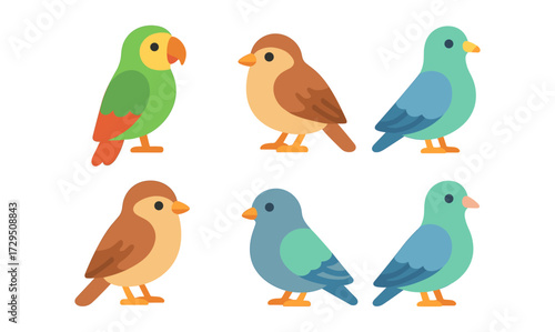 Colorful birds collection in flat design on white background