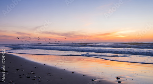 Birds flying over ocean at sunset on a beach view