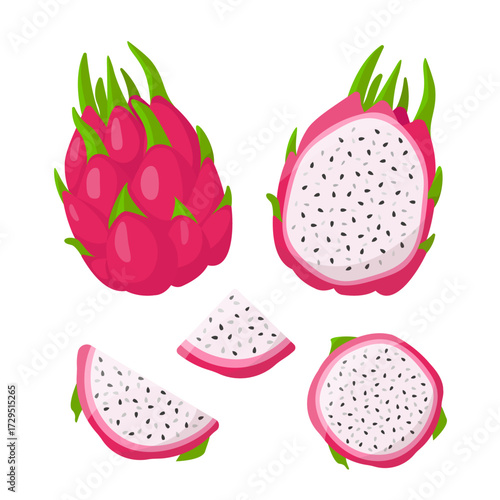 Red Dragon fruit. Whole and cut Pitaya and pieces. Tropical exotic fruit icons. Vector illustration isolated on white background.